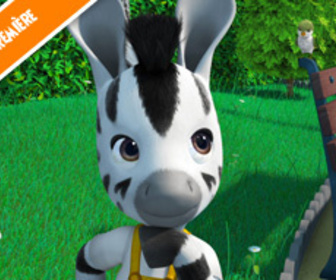 Zou