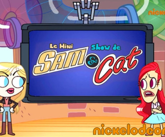 Sam et Cat