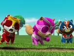 Paw Patrol, la Pat'Patrouille
