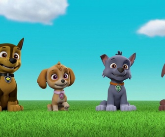 Paw Patrol, la Pat'Patrouille - La Bibliomobile