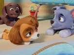 Paw Patrol, la Pat'Patrouille