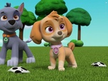 Paw Patrol, la Pat'Patrouille Paw Patrol, la Pat'Patrouille