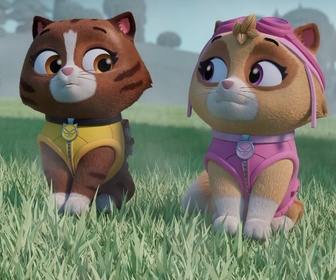 Paw Patrol, la Pat'Patrouille - Mr Hellinger et l'oison