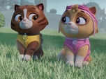 Paw Patrol, la Pat'Patrouille