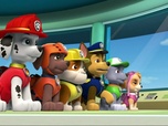 Paw Patrol, la Pat'Patrouille