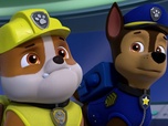 Paw Patrol, la Pat'Patrouille