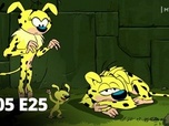 Le Marsupilami
