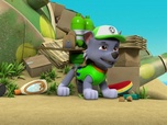Paw Patrol, la Pat'Patrouille