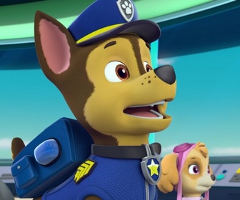 Paw Patrol, la Pat'Patrouille - La Kermesse de la Grande Vallée