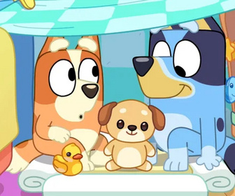 Bluey - 31/07/2026