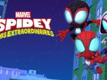 Spidey et ses amis extraordinaires Spidey et ses amis extraordinaires