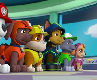 Paw Patrol, la Pat'Patrouille - La guitare de Gustavo