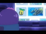 Pokémon