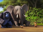 Les as de la jungle à la rescousse