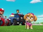 Paw Patrol, la Pat'Patrouille