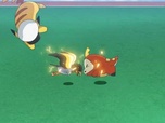 Pokémon Pokémon