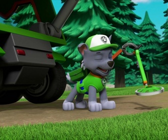 Paw Patrol, la Pat'Patrouille - L'armure royale