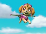 Paw Patrol, la Pat'Patrouille Paw Patrol, la Pat'Patrouille