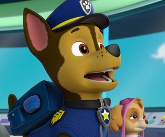 Paw Patrol, la Pat'Patrouille - La Pat'Patrouille sauve un lamantin