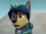 Paw Patrol, la Pat'Patrouille
