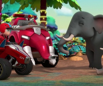 Paw Patrol, la Pat'Patrouille - Mission Jungle : Vicky et la boule en or