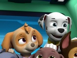 Paw Patrol, la Pat'Patrouille Paw Patrol, la Pat'Patrouille