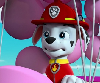 Paw Patrol, la Pat'Patrouille - La fête de la grande vallée