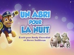 Paw Patrol, la Pat'Patrouille