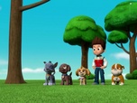 Paw Patrol, la Pat'Patrouille
