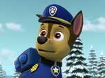 Paw Patrol, la Pat'Patrouille