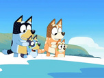 Bluey Bluey