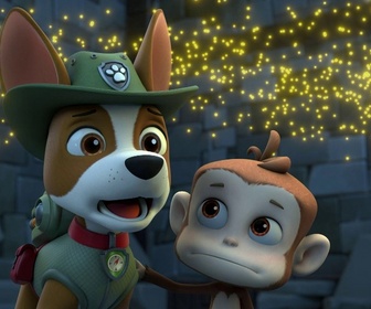 Paw Patrol, la Pat'Patrouille - Super Chats : le rugissement du chat