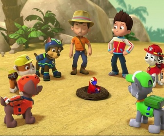 Paw Patrol, la Pat'Patrouille - Le perroquet en danger