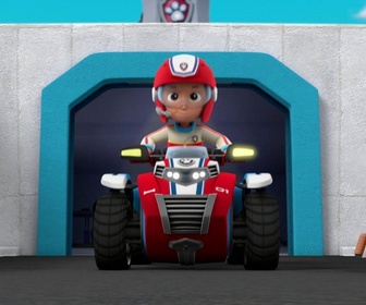 Paw Patrol, la Pat'Patrouille - Alex et sa mini-patrouille