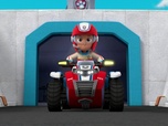 Paw Patrol, la Pat'Patrouille