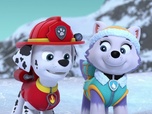 Paw Patrol, la Pat'Patrouille