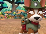 Paw Patrol, la Pat'Patrouille Paw Patrol, la Pat'Patrouille
