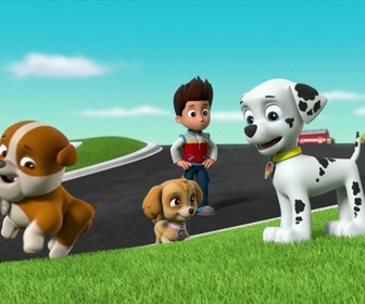 Paw Patrol, la Pat'Patrouille - La surprise de Ryder