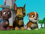 Paw Patrol, la Pat'Patrouille
