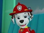 Paw Patrol, la Pat'Patrouille Paw Patrol, la Pat'Patrouille