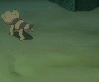 Pokémon : les horizons - Chochodile groovy comme un Croco