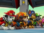 Paw Patrol, la Pat'Patrouille