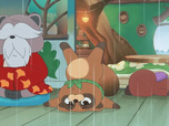 Taki Tanuki Taki Tanuki