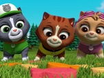 Paw Patrol, la Pat'Patrouille