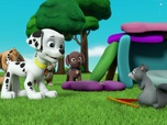 Paw Patrol, la Pat'Patrouille