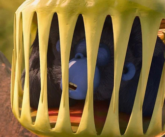 Les as de la jungle à la rescousse - 12/11/2025