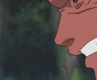 Naruto - S5 E11 - Adieu l'ami, je ne t'oublierai jamais