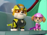 Paw Patrol, la Pat'Patrouille