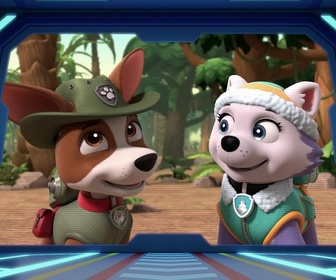 Paw Patrol, la Pat'Patrouille - Un éléphanteau joueur