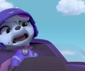 Paw Patrol, la Pat'Patrouille - Mission Tout-Terrain : Une course au sommet